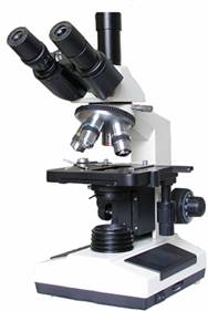 ��������x