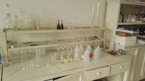 �t��̼������x